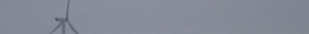 Rapport