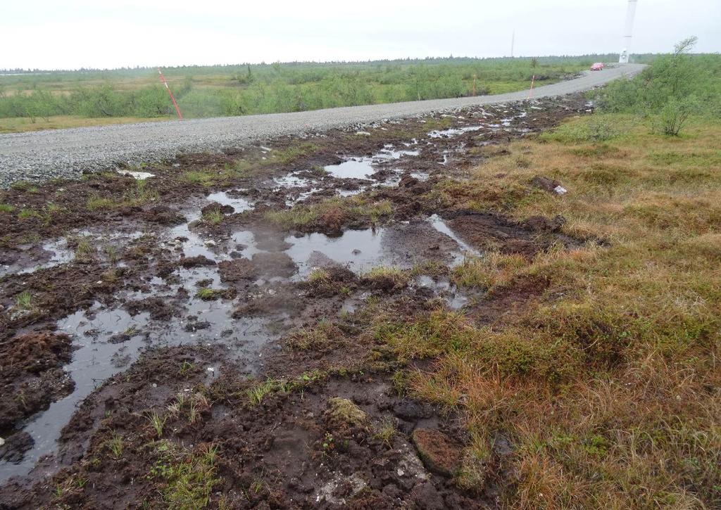 Figur 7. Dämning av avrinnande vatten från myr på norra sidan om vägen in mot verk 59. Foto taget mot sydväst 2014-06-09. 4.