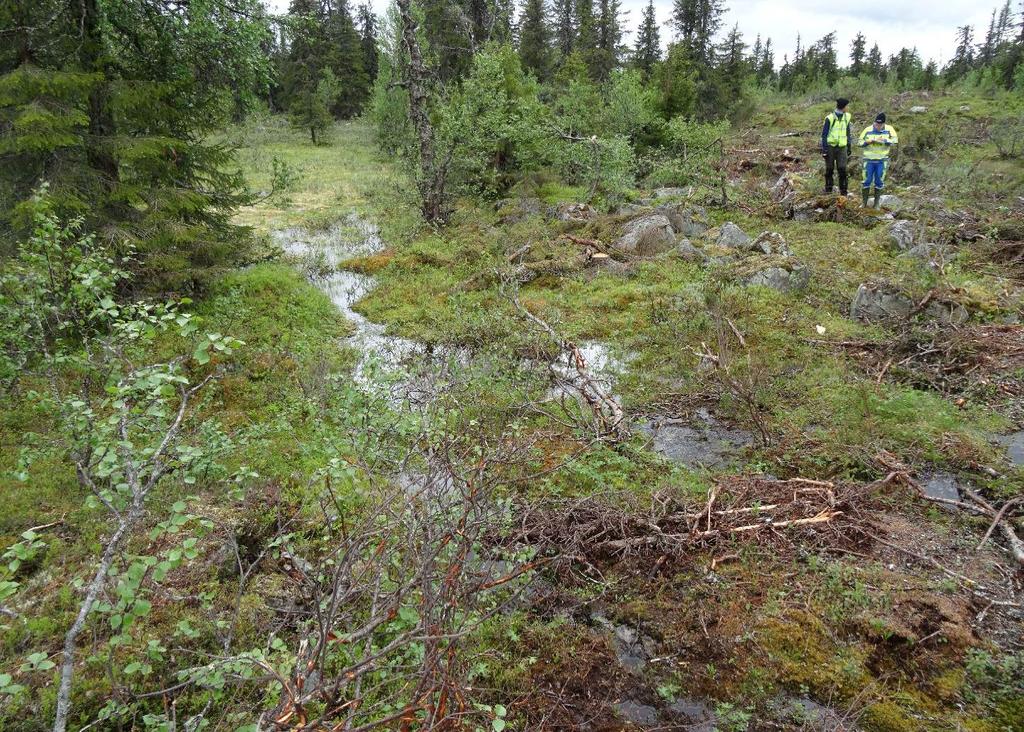 Figur 11. Avrinningsstråk strax norr om verk 89. Den nybrutna vägen upp mot verk 88 går i bildens högra del. Fototaget 2014-06-10 mot NNV.