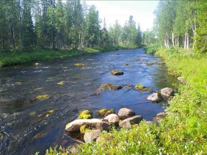 Lasujoki