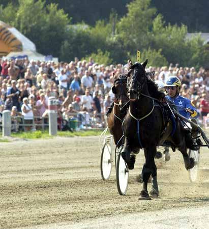 Bokning på Internet: www.jop.nu SMEDSBO FAKSEN Avelsindex: SynchroGait: AA e. Järvsöfaks u. Kjöstad Besta e. Spang Best 000:- + 000:- + moms TEKNO ODIN Avelsindex: e. Moe Odin u. Lyana e.