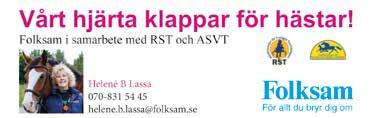 AMORIKKEN (NO) 0: 0, M Tot: 0--.,mbr.v.e Fakse - : 0-0-0, : 0--0,.