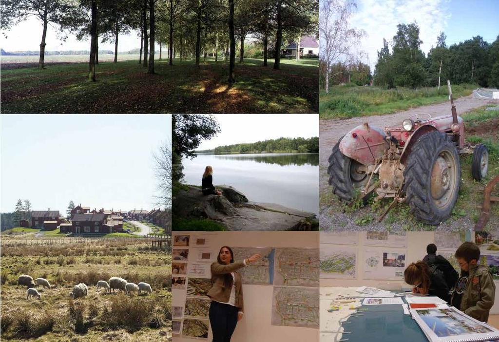 Bilder från