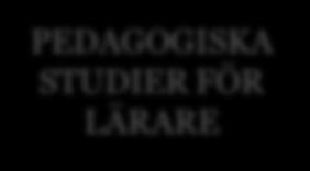 Utbildningsprogrammet för språkbadsundervisning, magisterexamen (120 sp) HUVUDÄMNE: SVENSKA MED INRIKTNINGS- ALTERNATIVET FLERSPRÅKIGHET VU ÅA FÖRDJUPADE STUDIER