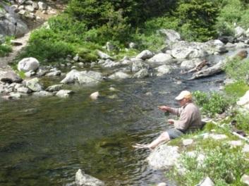 mosquitoes and other flies, my dog, and the water and the wind and the birds.