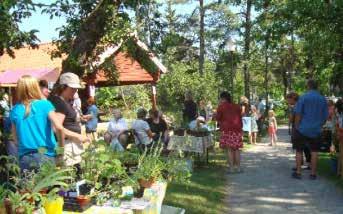 Växtloppis 6 juni 13:00-15:00 växtloppis på Café Nytorp, vid Källbrinks IP i Huddinge.