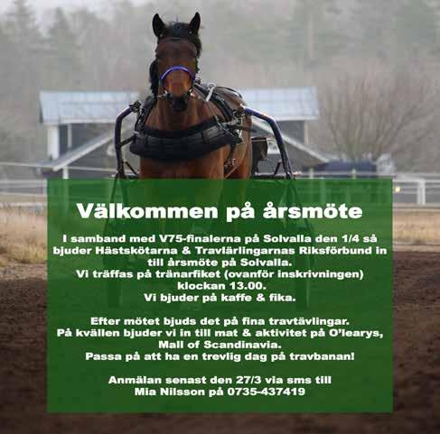MONTÉ/PREMIE OBS! INGET SPEL I DETTA LOPP KVALTIDER VARMBLOD.8,0 - -åriga.5,0 - -åriga.,0-4-åriga & äldre.,0 - montékval KVALTIDER KALLBLOD.55,0- -åriga.50,0 - -åriga.4,0-4-åriga & äldre.