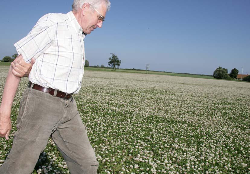 Ekologisk vallfröodling en grundlig genomgång Sverige är världens största producent av ekologiskt utsäde av timotej, ängssvingel, rödklöver och alsikeklöver.