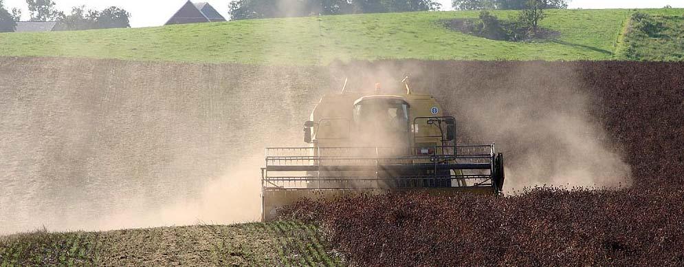 Direkt skörd av rödklöver. Skörd Notera när rödklövern står i full blom. Normalt går det ca 45 dagar mellan full blom och rätt skördetidpunkt.