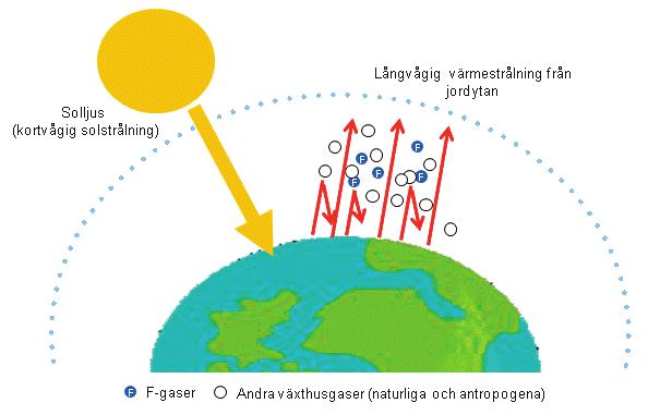 2 Allmän information om F-gas och F- gasförordningen 2.