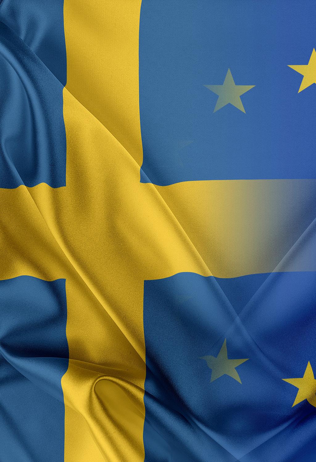 2 DEN SVENSKA MEDIEPOLITIKEN