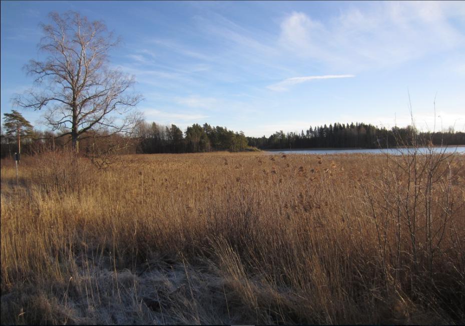 befintligt vassområde.