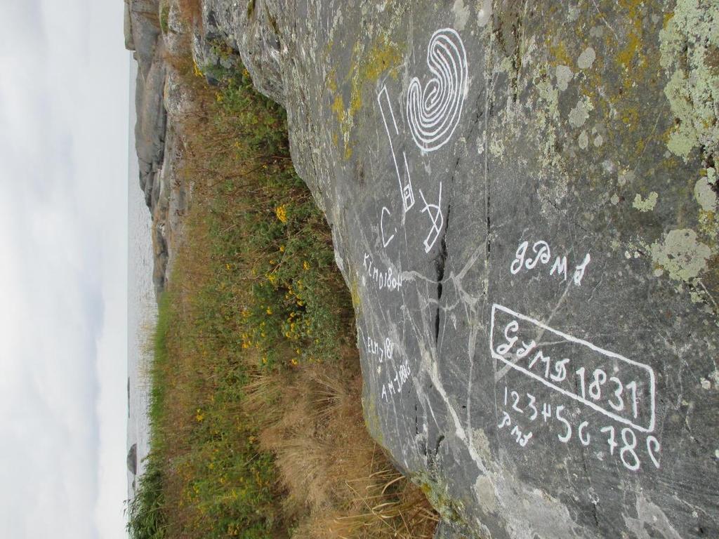 RISTNINGAR PÅ SKARV Permanent imålning och dokumentation av de historiska ristningarna på Bodskäret i Skarvs skärgård, fornlämning