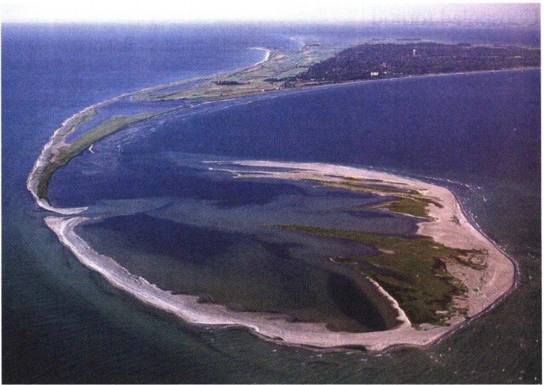 Ti im* * 1. ~ Fig. I. Vy över Måkläppen. Ön har fått kontakt med fastlandet. Foto: Björn Hillarp. vara övertäckt med sand.