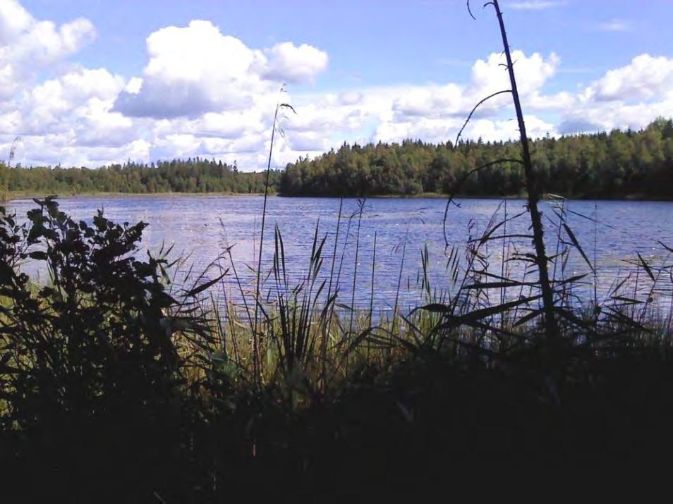 Andra åtgärder är att gynna lövträd som al och björk för att skapa bredare skyddszoner utmed vattenlinjen. 4.3.