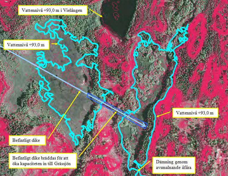 Strypning/förträngning av högflöde i Tommabodaån för att dämma och skapa stor vattenyta Ett annat alternativ är att dämma upp vatten vid en trång passage nedströms Grässjön i Tommabodaån (se figur 4.