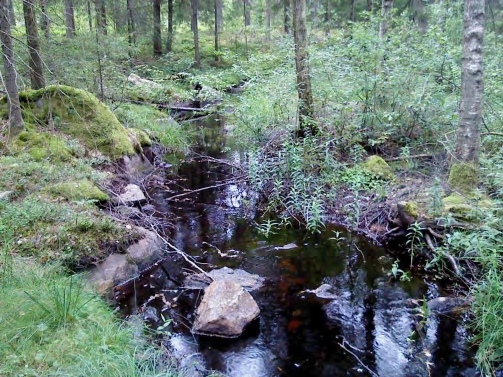Figur 4.27 visar på skogsbäcken nedströms Hjärtasjöns utlopp.