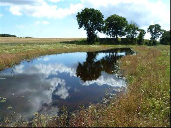 Figur 2.4 Exempel på anlagd sedimentfälla i Tullstorpsån i Trelleborgs kommun Våtmarker Våtmarkerna har en ytterst viktig funktion i landskapet.