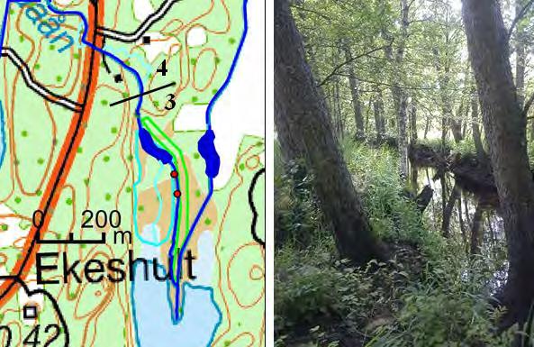 Bottensubstratet består av sand och sten. Vattnet är lugnflytande längs hela delsträckan. Ån kantas växelvis av lövskog och fuktiga öppna marker.