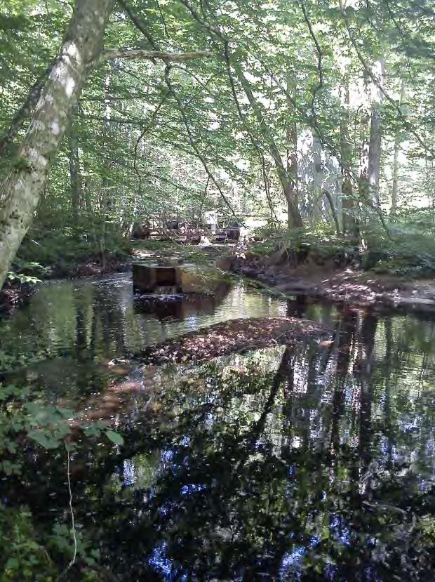 4 Delsträcka 4 Delsträcka 4 har ett mycket meandrande lopp med strömmande/forsande vatten (Se figur 2.11). Bottenstrukturen är mycket varierande med sten, block, grus och död ved.