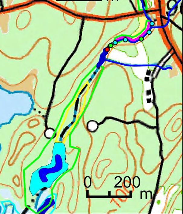Längs gräsmarken på den västra sidan ån föreslås kantavplaning samt anläggning av en ca 5-15 m bred kantzon längs kantavplaningen.
