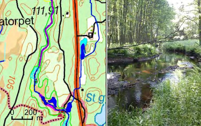 länge nedströms, där ett biflöde ansluter till ån österifrån, föreslås anläggning av en ca 0,5 ha stor våtmark genom schaktning. Figur 2.17 där kartan t.v. visar åtgärdsförslag längs delsträcka 9 och bilden t.