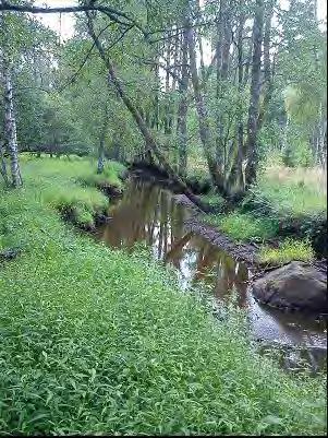 genom området och som har ett strypt utlopp där den mynnar ut i ån igen. Det strypta utloppet skapar en översvämning. Flera mindre vattenytor skapas här genom schaktning.