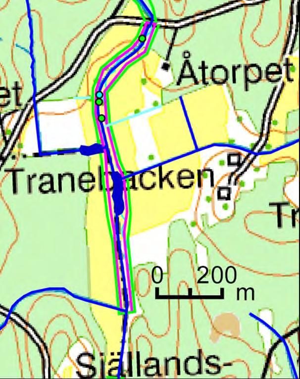 Åtgärder: Förslagsvis planas åslänterna av från lutningen 1:1 till 1:5 längs nästan hela delsträckan för att skapa mer kontaktyta mellan vattnet och åslänterna.