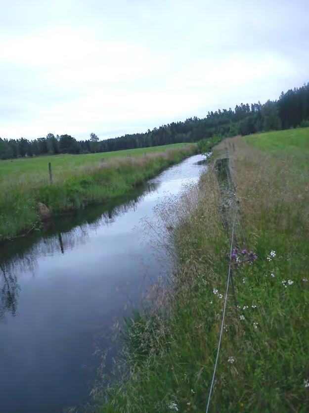 Längs delsträckan finns isälvssediment, som är en erosionsbenägen jordart. Förekomsten av uppväxtområden och ståndplatser för öring är ej bra. Lekområden för fisk saknas.