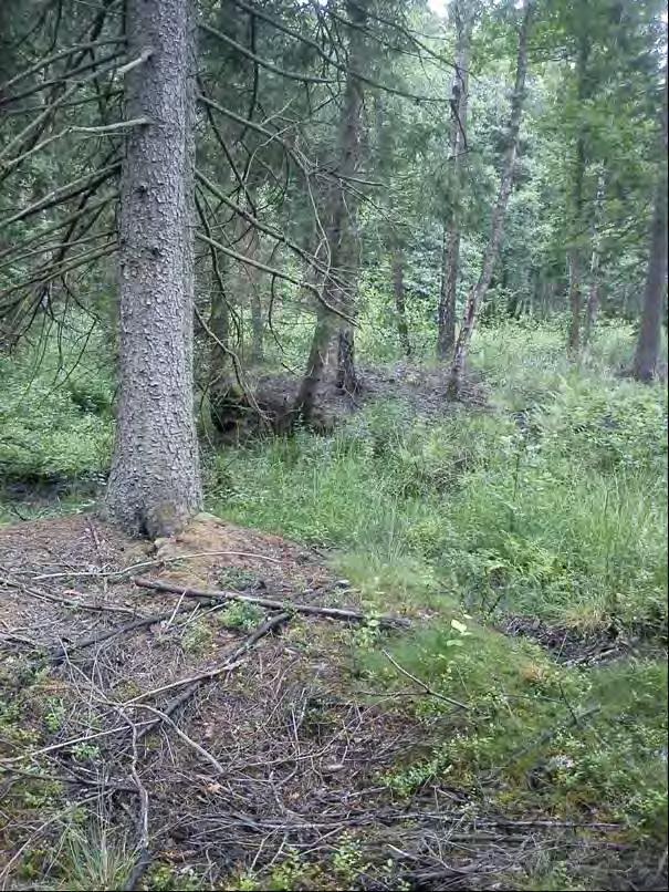 Figur 2.26 Delsträcka 16. Röd linje markerar området med sumpskog och de blå ytorna visar våtmarksförslag Figur 2.27 där bilen t.v. visar meandrande parti som omges av mycket låglänt lövskog och öppen sankmark.
