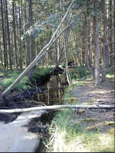 Åtgärder: Inga åtgärder föreslås längs delsträcka 21, eftersom ån är relativt djup och eventuell kantavplaning skulle vara kostsam.