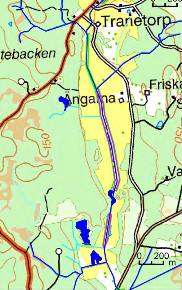 Träddungar planteras växelvis på den östra och den västra sidan av ån, längs delar av ån.