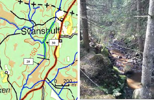 Figur 2.38 där kartan visar åtgärdsförslag längs delsträcka 29 och 30 bilden t.h. visar delsträcka 30 2.6.29 Delsträcka 29 Delsträcka 29 är rätad och rensad. (Se figur 2.38).