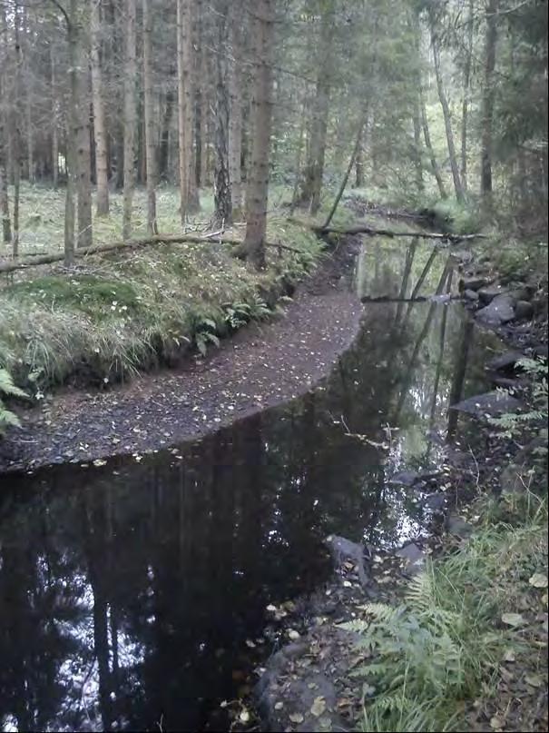 Anläggning av en ca 15-20 m bred kantzon rekommenderas längs hela sträckan. Lövskogen på den västra sidan ån bevaras.