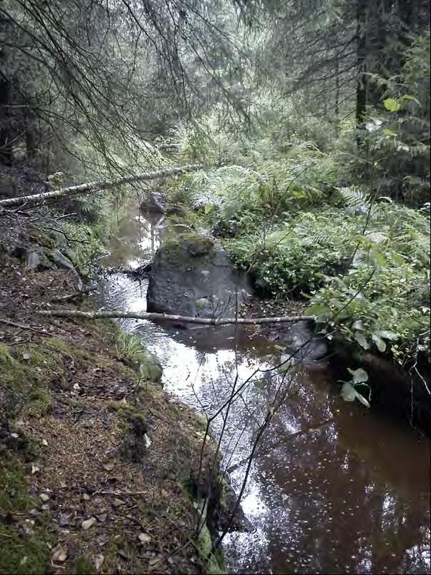 Ett mindre vattendrag med hög bottenlutning (se figur 3.11) rinner i nordsydlig riktning genom myrmarken och ansluter till Tommabodaån.