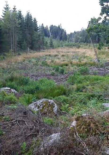 Planerad vattenyta är ca 0,5 ha och schaktvolymen uppgår till ca 3 000 m 3.