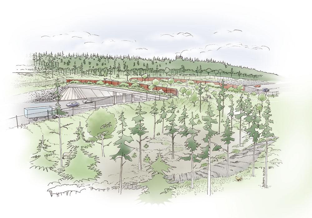 4.1.2 Exempel på olika konstruktioner Faunapassager kan utformas på en mängd olika sätt.