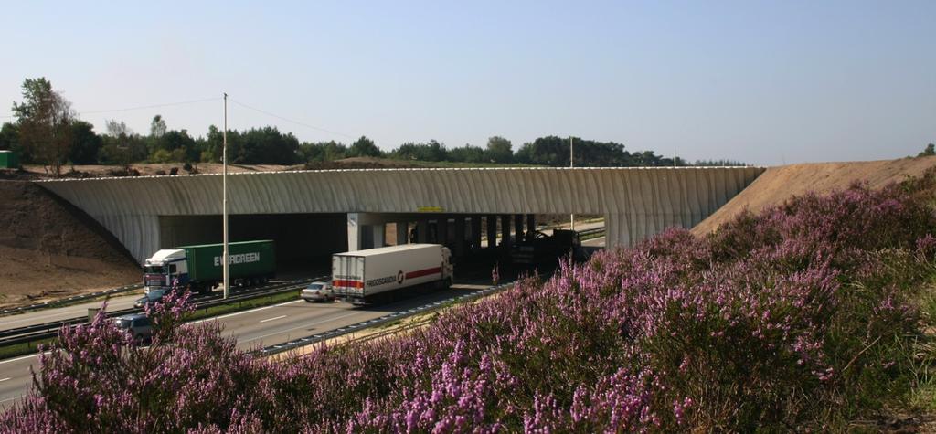 Figur 13. En ekodukt på A28 vid Leusederhei bij på A28 i Nederländerna. Foto: Hans Bekker (RWS).