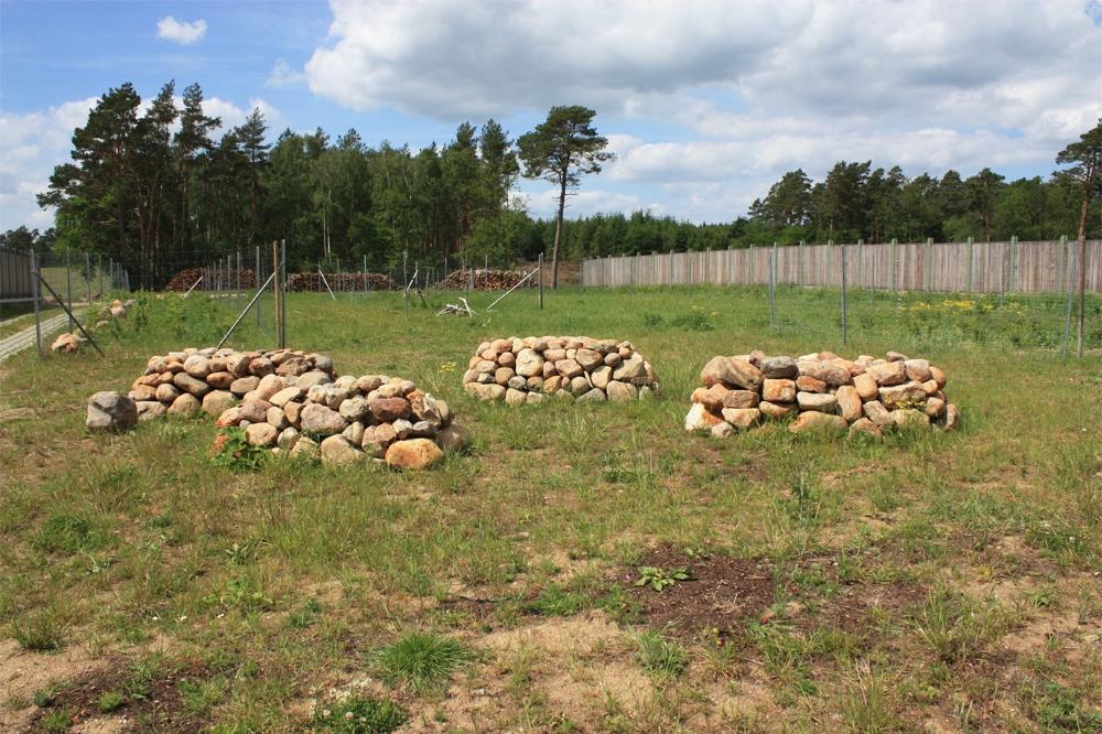 I Europa finns exempel där träd har planterats i rader över bron och detta gynnar bland annat fladdermöss, vilka följer trädradernas kronor. Figur 22.