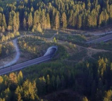 Figur 31 (t.h.). Lokalvägen är förlagd i tunnel under ekodukten, vid Groene Woud i Nederländerna. Foto: Hans Bekker (RWS). Figur 32.