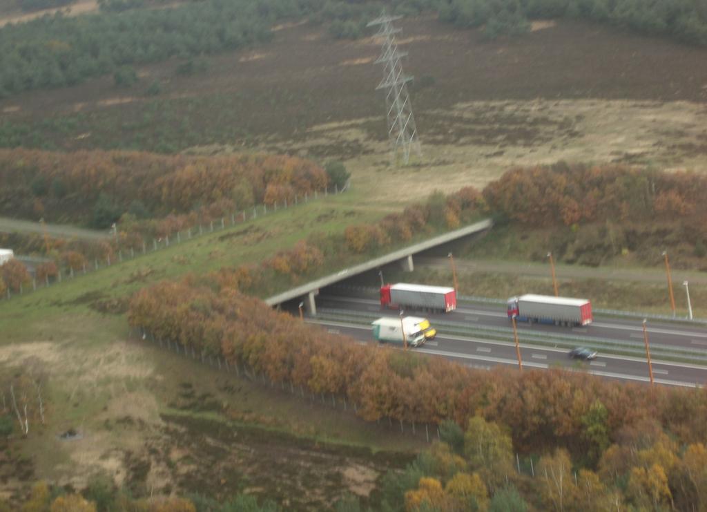 faunastråket går i en dal är det naturligast att låta det fortsätta under vägen. Vanliga sätt att lösa detta är genom en så kallad landskapsbro eller en breddad vägport.