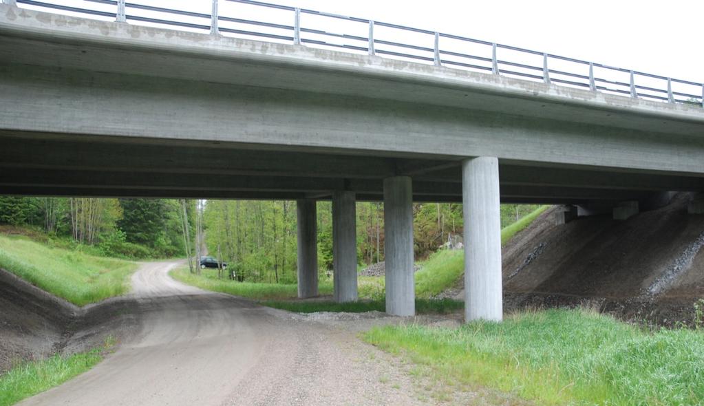 I figur 3 och 4 finns exempel på passage under respektive över vägen. Figur 3. Passagemöjlighet över vägen. En ekodukt i Nederländerna längs A50 vid Terlet.