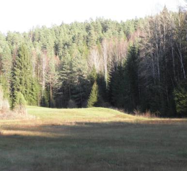 Långevik Församling: Trankil Koordinater: 6582261, 1274228 Tuvaobjekt: Nej Areal: 5,4 ha Naturtyp enl Tuva: - Hävd: Ja Hävdform: Slåtter Floravärlden Lst 2013: Nej Årjäng del 1: Nej Årjäng del 2: Ja