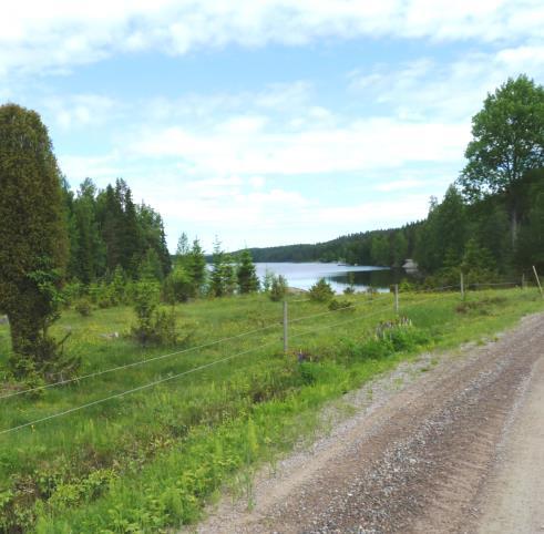 Lerudden Församling: Sillerud Koordinater: 6569789, 1304518 Tuvaobjekt: Ja (två skiften) Areal: 0,7 ha Naturtyp enl Tuva: - Hävd: Ja Hävdform: Bete Floravärlden Lst 2013: Ja Årjäng del 1: Nej Årjäng