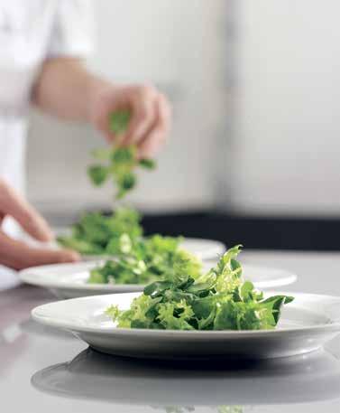 Vinnaren till årets hjärta är ingen mindre än juice och snabbmatskedjan Holy Greens. Nöj dig inte med den bästa salladen. Vår färdigskurna sallad är alltid sköljd och klar att servera.