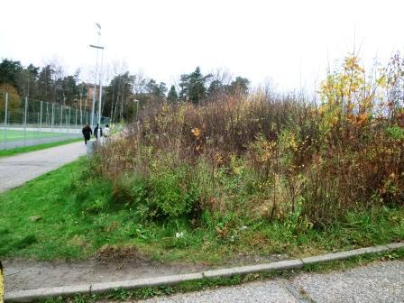 Bild, före Plats Problem/Möjlighet Ansvarig för åtgärd 3 enligt kartan