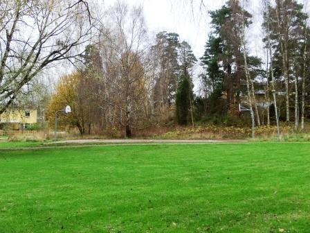 höga buskarna.