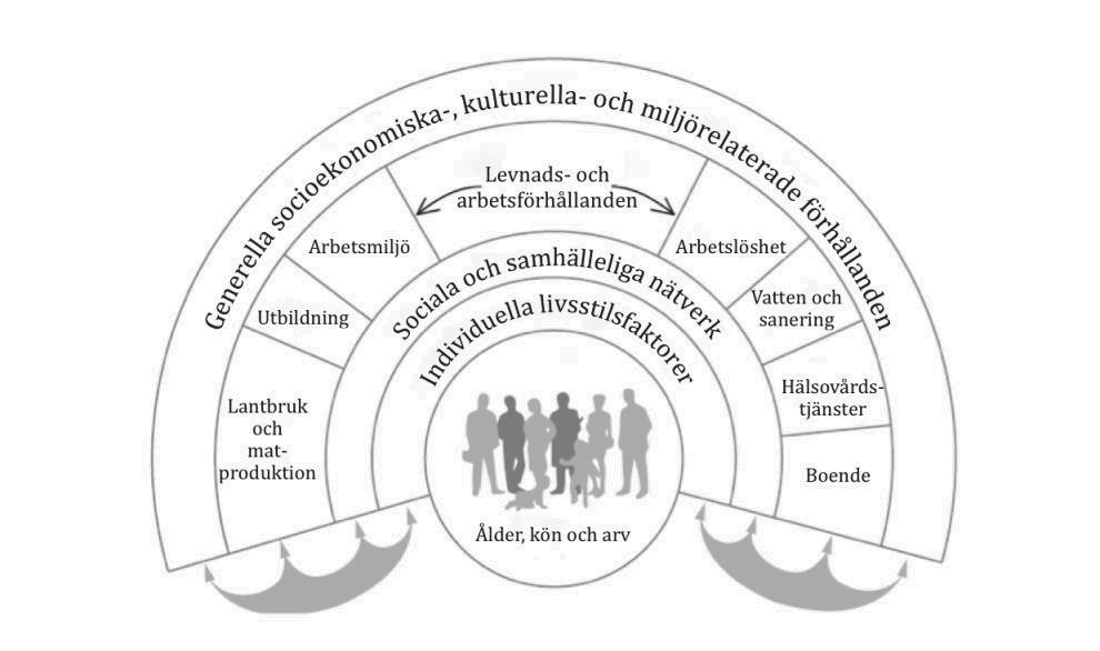 SOU 2016:55 Varför jämlik hälsa? till individuella beteenden, presenteras som olika lager med människan i centrum (se Figur 1.3). Källa: Dahlgren och Whitehead (2007/1991), egen översättning.