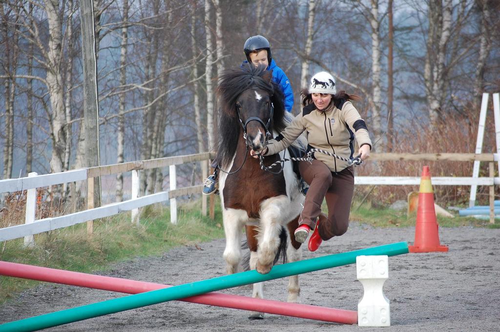 Mitt val? - islandshästar, skogsturer - 7 årig son Agility - Aktiviteter, kan välja många olika?