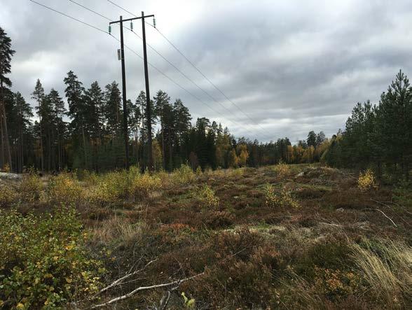 De förutsättningar som finns i projektet är att transformatorstationen Eksjö E VM och ledningen mellan Nässjö och Eksjö ska förbindas.